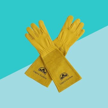 9 Best Gardening Gloves for Every Type of Gardener, According to Amazon Reviewers