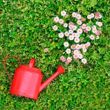 3 Smart Ways to Boost the Health Benefits of Gardening